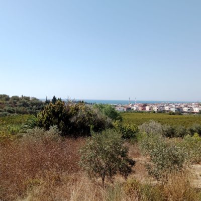3 LANDS FOR SALE IN KUŞADASI WITH FULL SEA VIEW – Adakeywest (Property No: 1512)